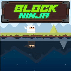Blok Ninja Oyunu